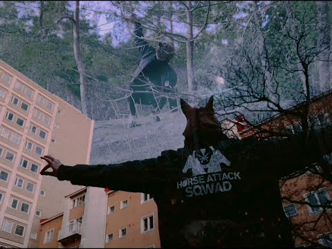 Horse Attack Sqwad -  Kaunis päivä