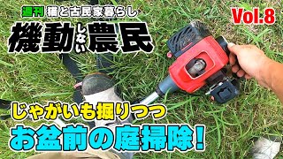 お盆前の石垣掃除や草刈りな1週間っ！
