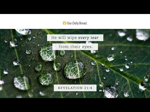 Every Grief | Audio Reading | Our Daily Bread Devotional | July 25, 2023