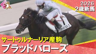 ブラッドバローズが逃げ切りデビュー勝ち！松若騎手「僕はつかまっているだけで…」2026年9月12日(土)２歳新馬　阪神芝1600m　実況：服部優陽【カンテレ公式】