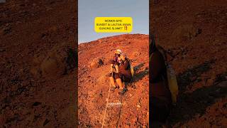 Download lagu MOMEN LANGKA SUNSET & LAUTAN AWAN GUNUNG SLAMET VIA PERMADI GUCI #gunungslamet #slametviapermadiguci mp3 Download lagu MOMEN LANGKA SUNSET & LAUTAN AWAN GUNUNG SLAMET VIA PERMADI GUCI #gunungslamet #slametviapermadiguci mp3