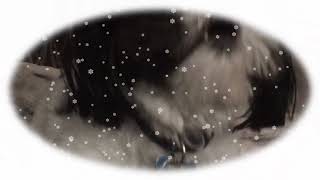 "Ready Set Go" Fan Video