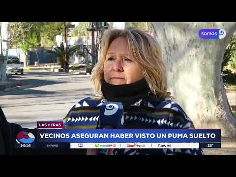 Vecinos aseguran haber visto un Puma en Las Heras