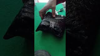 Download lagu π¨ Vape Argus Pod SE Packaging β Safe, Neat, and Ready to Ship to Customers! π¦π₯ #vapeindonesia mp3 Download lagu π¨ Vape Argus Pod SE Packaging β Safe, Neat, and Ready to Ship to Customers! π¦π₯ #vapeindonesia mp3