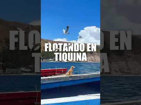 Cruzando el mítico Estrecho de Tiquina en Bolivia 🚤🇧🇴 magia entre dos orillas #felibuendiaviaja