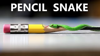 I Carve a Venomous Snake into a Pencil