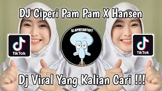 Download lagu DJ CIPERI PAM PAM X HANSEN VENDI AGUS VIRAL TIK TOK TERBARU 2023 YANG KALIAN CARI ! mp3