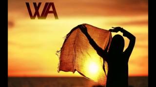 20 Fingers - Short Dick Man 2K13 (Zombori Zs.Mashup)