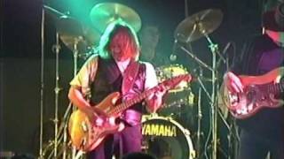 Walter Trout (Live, Neede Holland, 1990) : Life in the Jungle