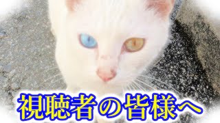 視聴者の皆様へ