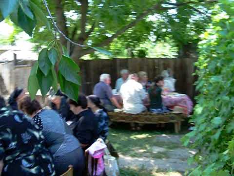 Chiscani Radu family