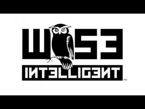 Wise Intelligent - What Would Djezuz Do? (The Underdog) [Prod. by Bigg Scott-7XL Productions]