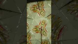 Kaleidoscope✨ Class 8 science project|Multiple🍁 reflection#science #study #class8#mirror