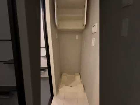 アパートのテラスの開発: 専門家のアドバイスと装飾のヒント  庭園