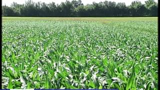 Video Agricoltura Responsabile