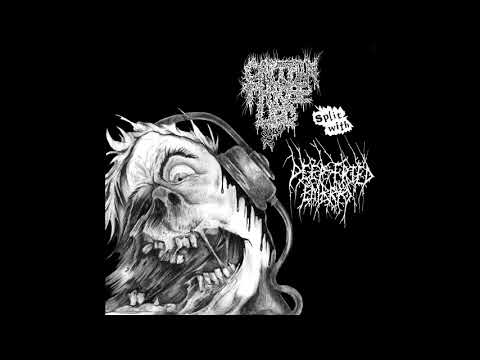 Captain Three Leg 2013 (split with Deep Fried Embryo) grindcore | goregrind | noisecore | noisegrind