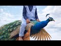 Green Screen Shriram