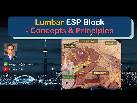 Lumbar ESP Block - Concepts & Principles [2024]