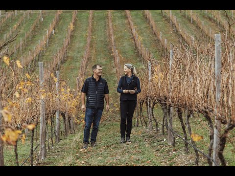 Deviation Road Winery