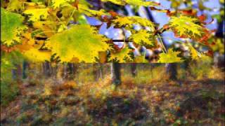 Soweto String Quartet - Bossa Baroque