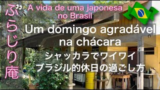 【ブラジル在住26年の休日】シャッカラで過ごす日曜日／自然の中でワイワイ／um domingo na chácara #ブラジル暮らし #chácara #churrasco #japonesa
