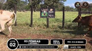 Vídeo LOTE 02