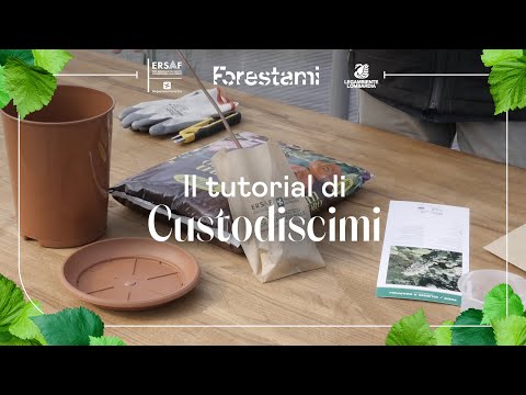 Forestami - Il tutorial di Custodiscimi