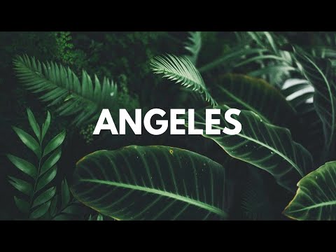 [FREE] "ANGELES" Tyga x G-Eazy x Offset Type Beat