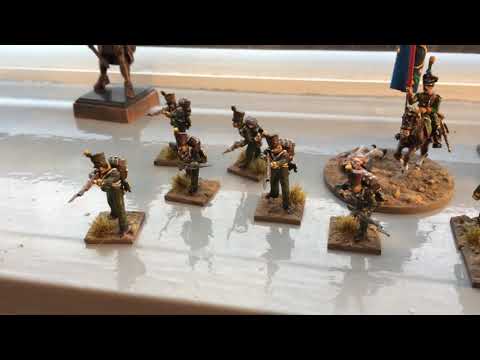 Little Napoleonic Project