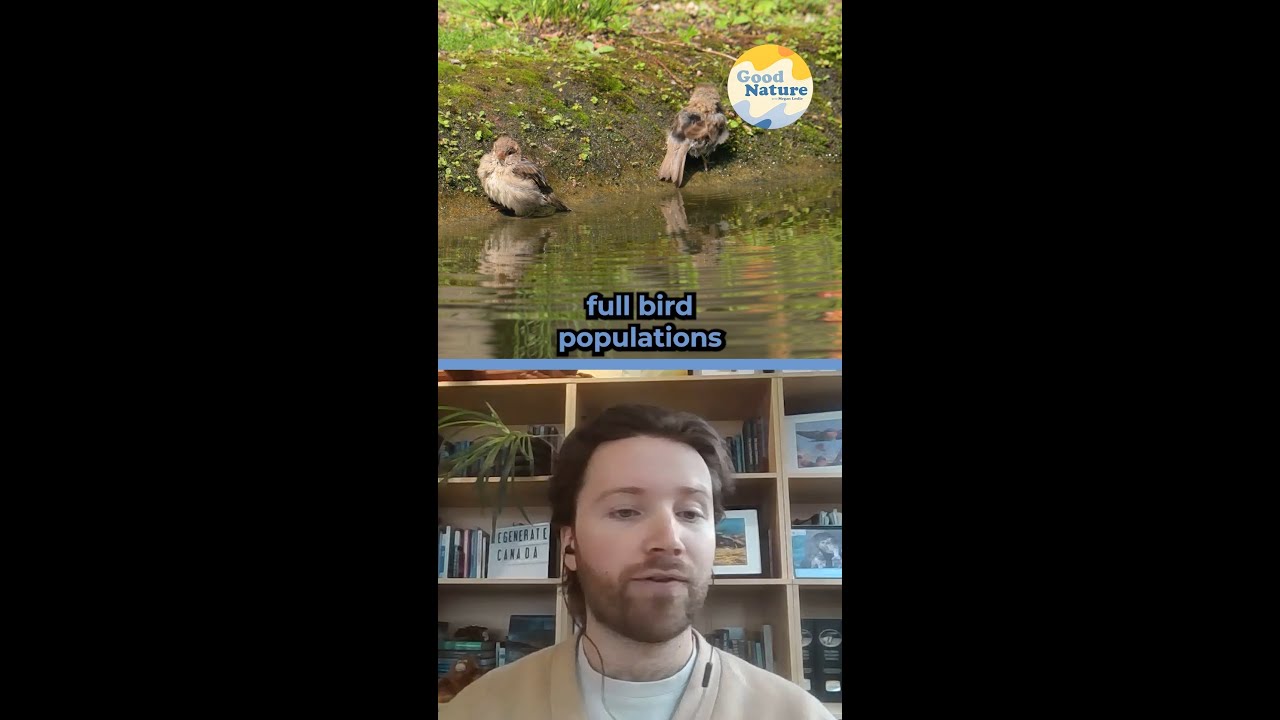 How Restoring a Peatland Brought Back Plants, Water and Birds