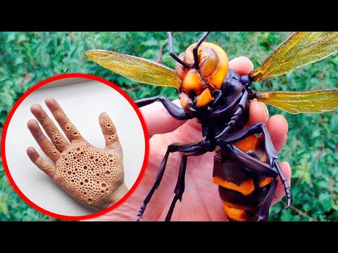 2nd YouTube video about are mealybugs harmful to humans