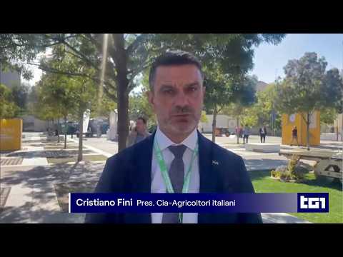 TG1 - Riso: produzione in calo e costi alle stelle. Con presidente Cia Fini e imprenditore Bertoldo