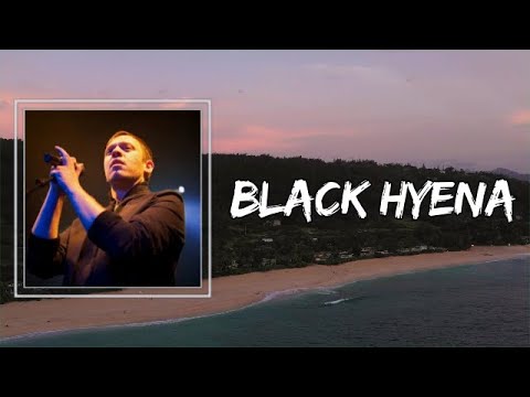 Everything Everything - Black Hyena (Lyrics) 🎵