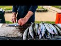How to Fillet Skin & Clean  King George Whiting