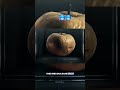 Did You Know This Planet Apple Box Theory New Shorts