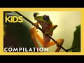 THE FREAKIEST CREATURES Frog Bear Jellyfish AND MORE Nat Geo Kids Compilation Natgeokids