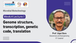 Lec 13: Genome structure, transcription, genetic code, translation