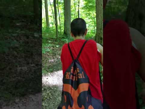 Hiking at versailles state park. Indiana. Jurassic park?