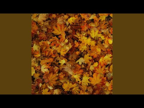 Video thumbnail for Be Alone