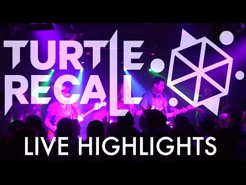Turtle Recall - Feels Like Partytime