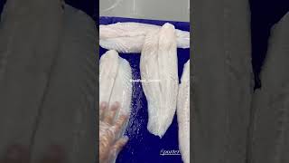 Download lagu Basa fillet 18oz up (510g up) big size x Vietnam factory || Porter Seafood #basa #pangasius #swai mp3