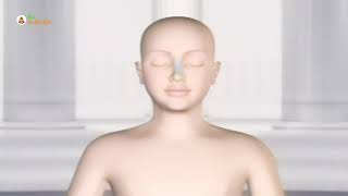Spiritual reality Meditation Video in Hindi