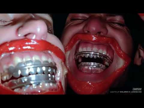 Lights Up - Shlømo x Junkie Kid (Visualizer)