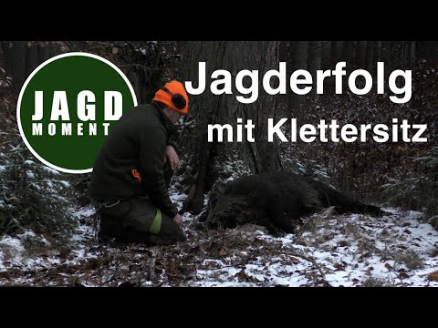Hunting Moments | Episode 11 | Hunting Success with a Climbing Seat | JagenNRW
