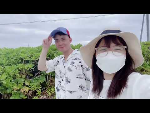 Review chi tiết lịch trinh đi Okinawa 4 de janeiro 3 đêm (tự túc) #okinawa #dulich #nhatbanvlog