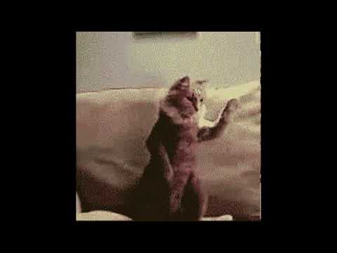 Klywoodjeb - Bebra (Slowed + Reverb)