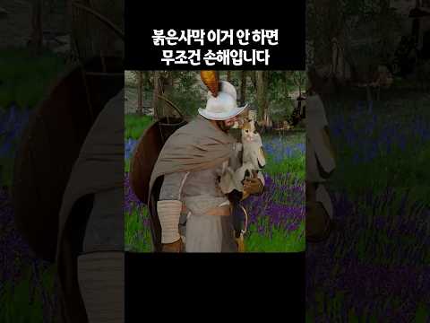 냥줍은 무조건 해야 합니다