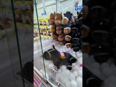 Claw game reach for the pony!