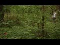 Graham Wright - Birds Of A Feather (Official Music ...