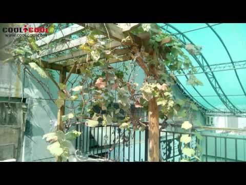 BLUBOO XTouch Hands on Review